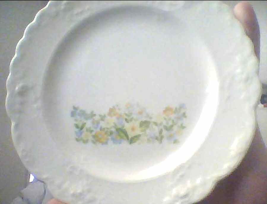 TST756 Bread & Butter Plate by Taylor, Smith & Taylor (Ts&T)-1