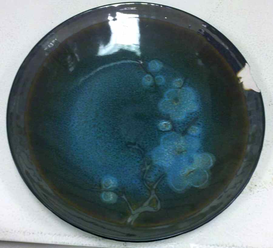 TGE1 Dinner Plate by Tougei-1