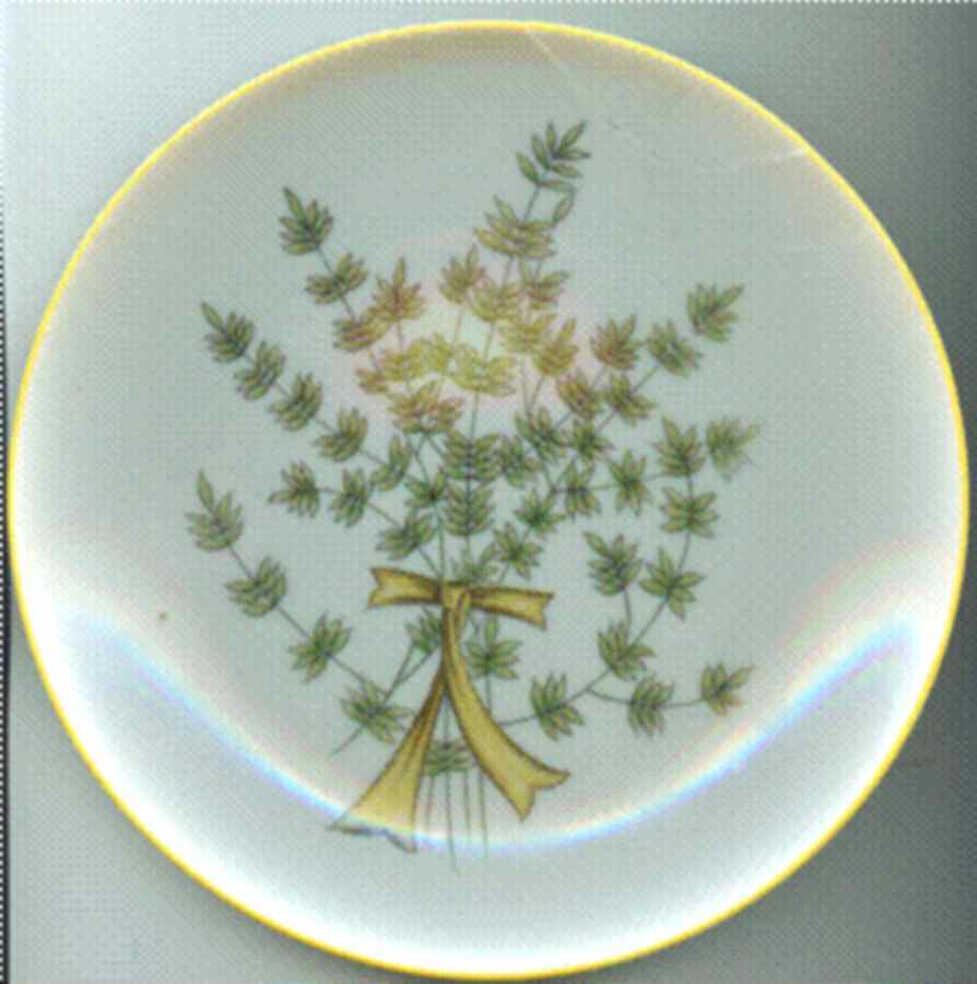 Rosemary Salad Plate by Taste Setter-1