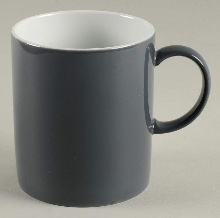 Sunny Day Slate Grey Mug by Thomas-1