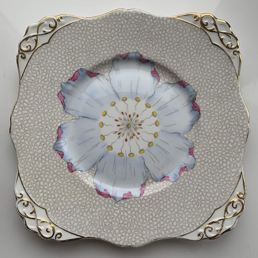 C6359 Cookie Plate by Tuscan - Royal Tuscan-1