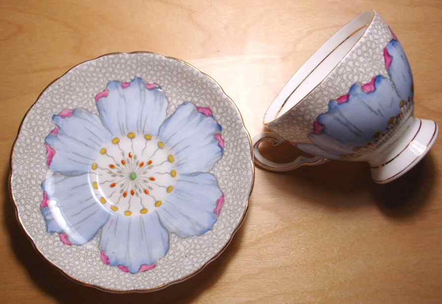 C6359 Footed Cup & Saucer Set by Tuscan - Royal Tuscan-1