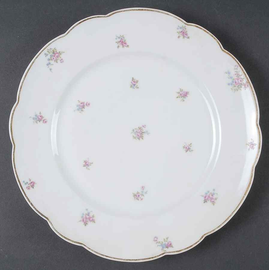 TRV720 Dinner Plate by Tressemanes & Vogt-1