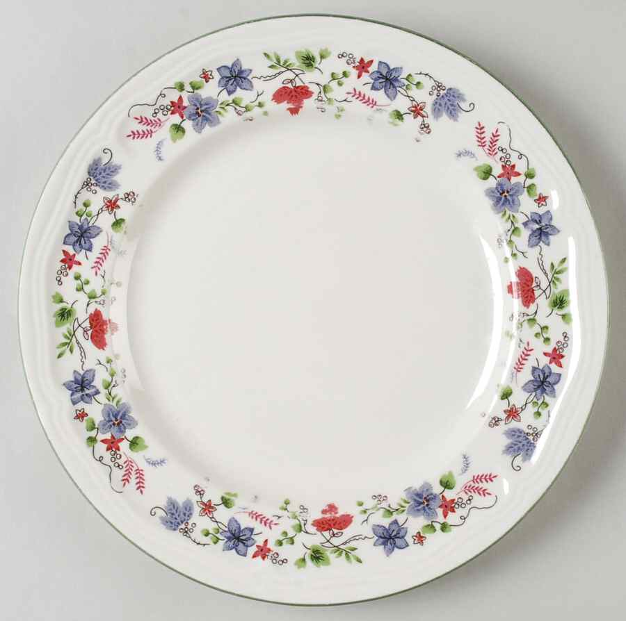 TTO30 Dinner Plate by Totally Today-1