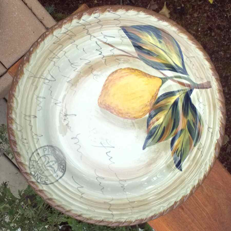 Lemone Dinner Plate by Tabletops Unlimited-1