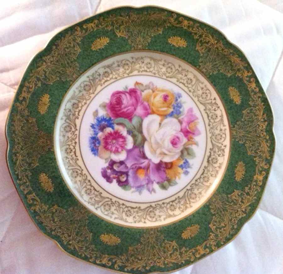 TIR596 Dinner Plate by Tirschenreuth-1