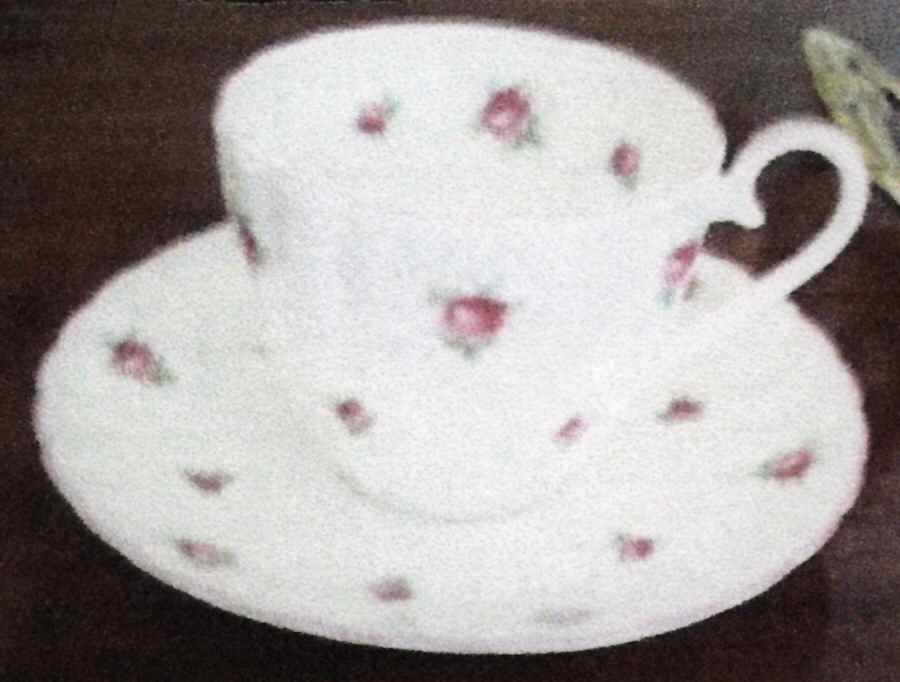 D2555 Footed Cup & Saucer Set by Tuscan - Royal Tuscan-1