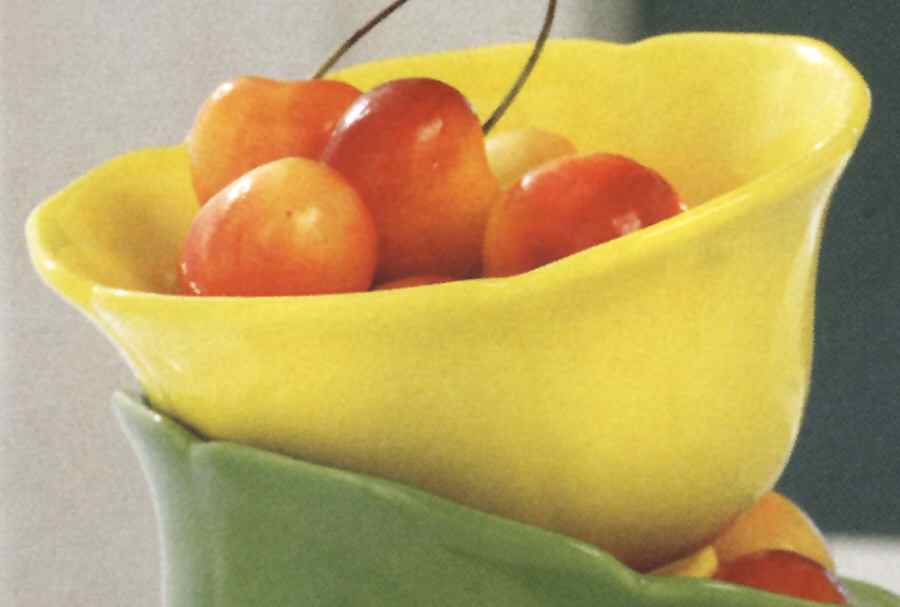 Gazebo Individual All Purpose Bowl by Tag Ltd-1