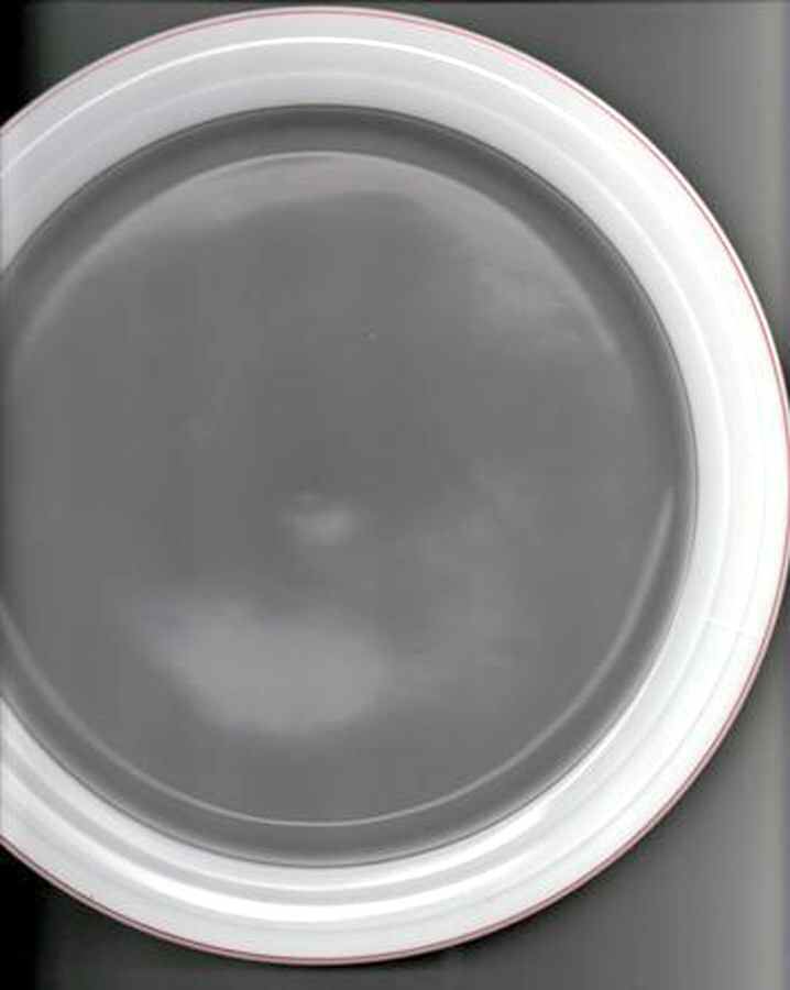 THO503 Dinner Plate by Thomas-1