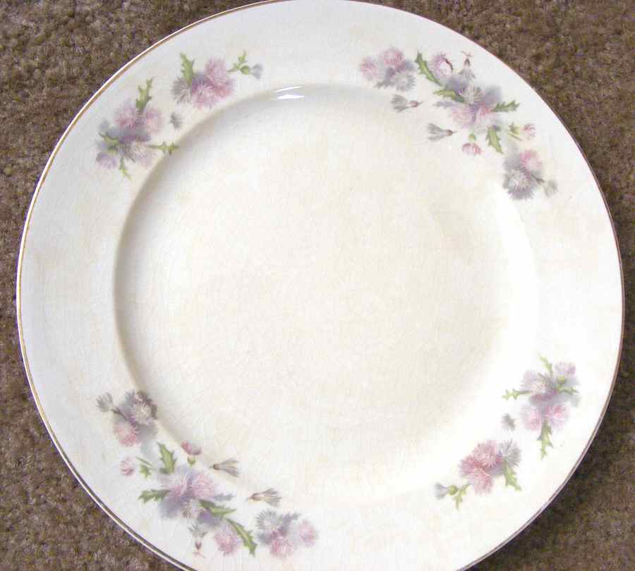 TST1002 Dinner Plate by Taylor, Smith & Taylor (Ts&T)-1