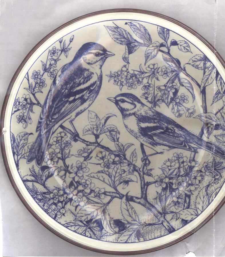 Gli Amici del Mattino Luncheon Plate by Tognana-1