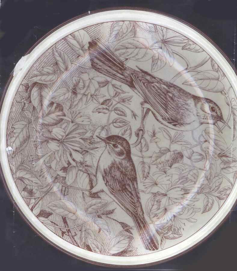 Gli Amici del Mattino Luncheon Plate by Tognana-1