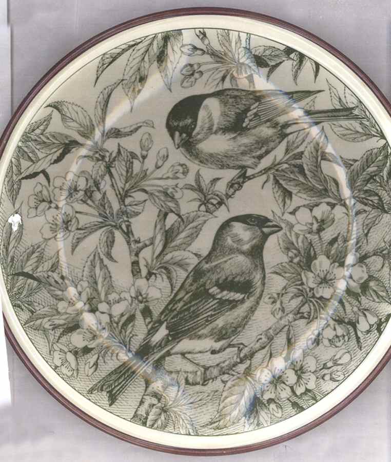 Gli Amici del Mattino Luncheon Plate by Tognana-1