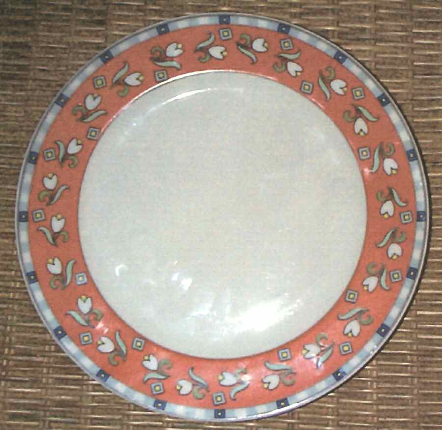 TOG52 Dinner Plate by Tognana-1