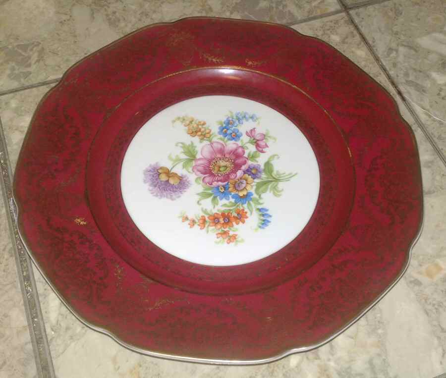TIR606 Dinner Plate by Tirschenreuth-1