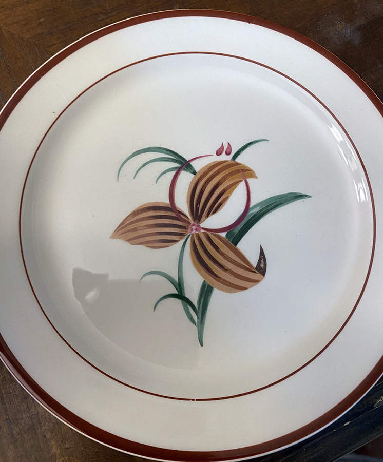 TST763 Salad Plate by Taylor, Smith & Taylor (Ts&T)-1
