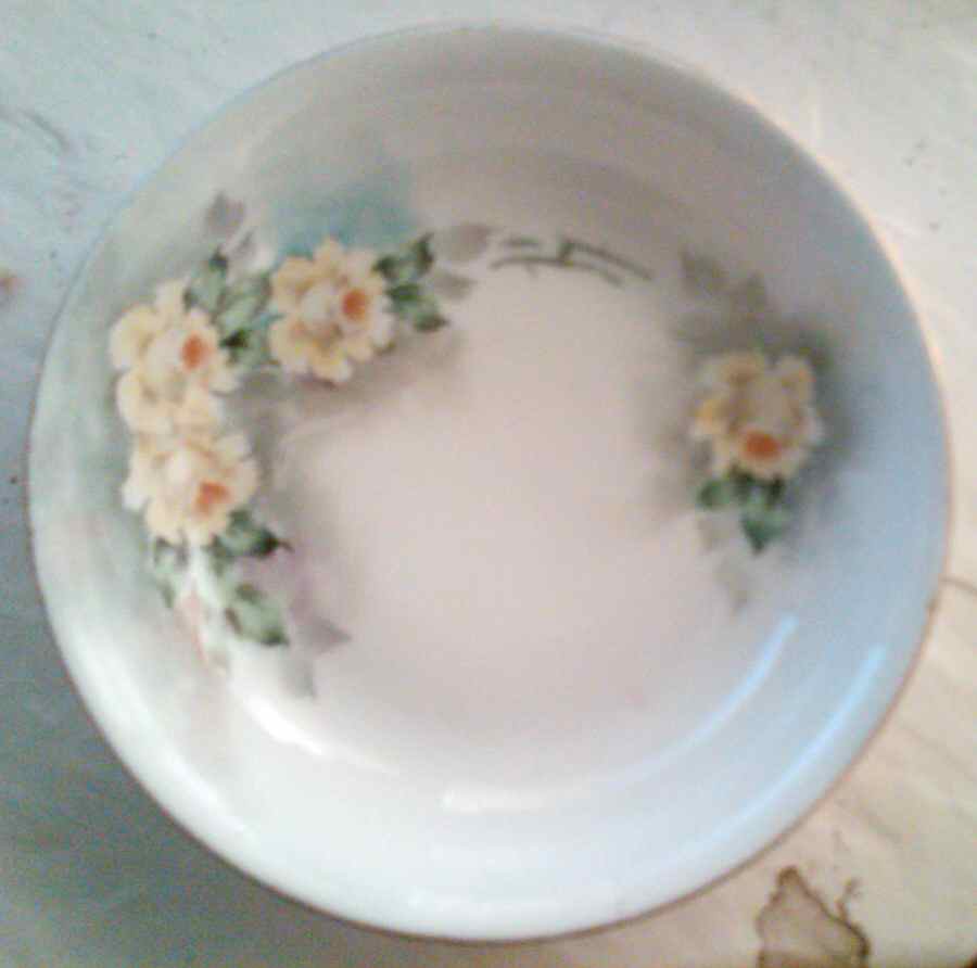 THO510 Dinner Plate by Thomas-1