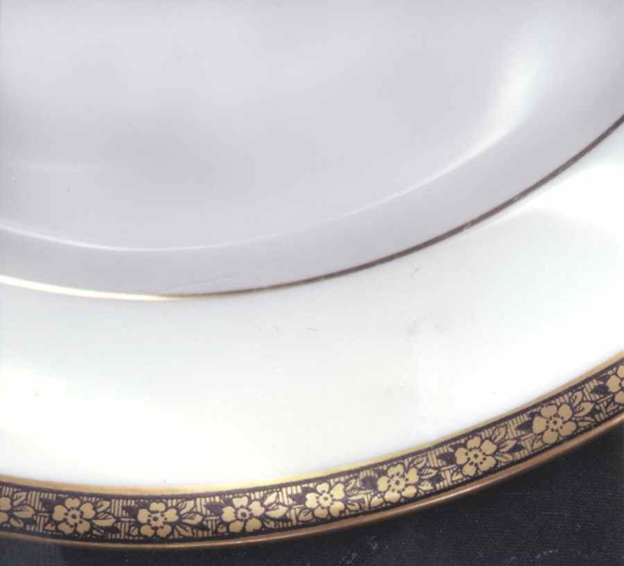Bristol Dinner Plate by Tirschenreuth-1