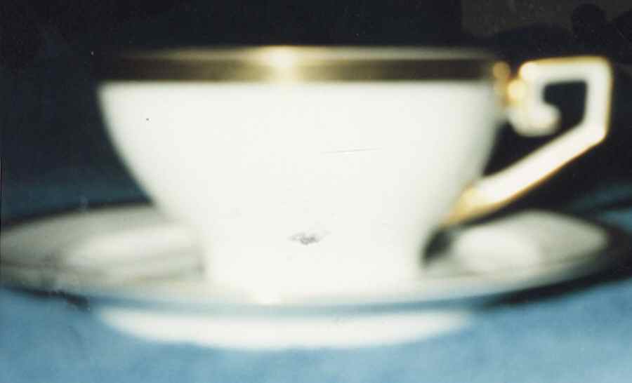 Bristol Flat Cup & Saucer Set by Tirschenreuth-1