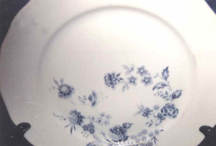 TIR614 Dinner Plate by Tirschenreuth-1