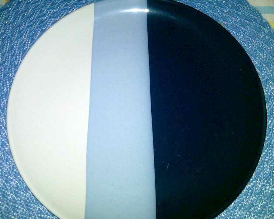 TDH4 Dinner Plate by Todays Home-1