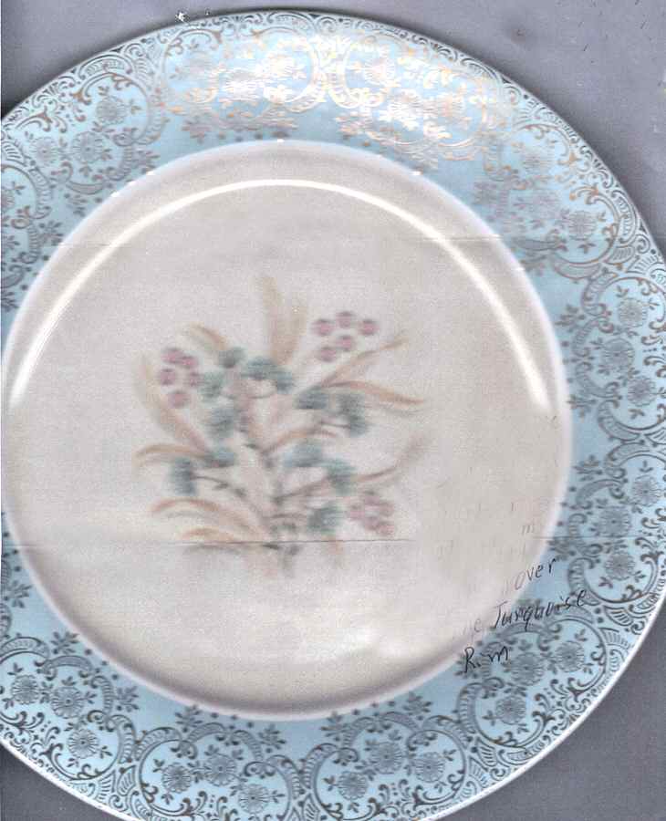 TST769 Dinner Plate by Taylor, Smith & Taylor (Ts&T)-1