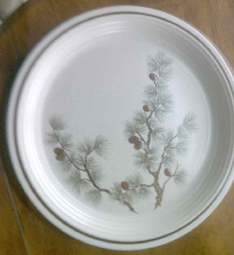 Select Pine Dinner Plate by Town & Country-1