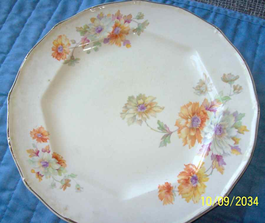 TST771 Dinner Plate by Taylor, Smith & Taylor (Ts&T)-1
