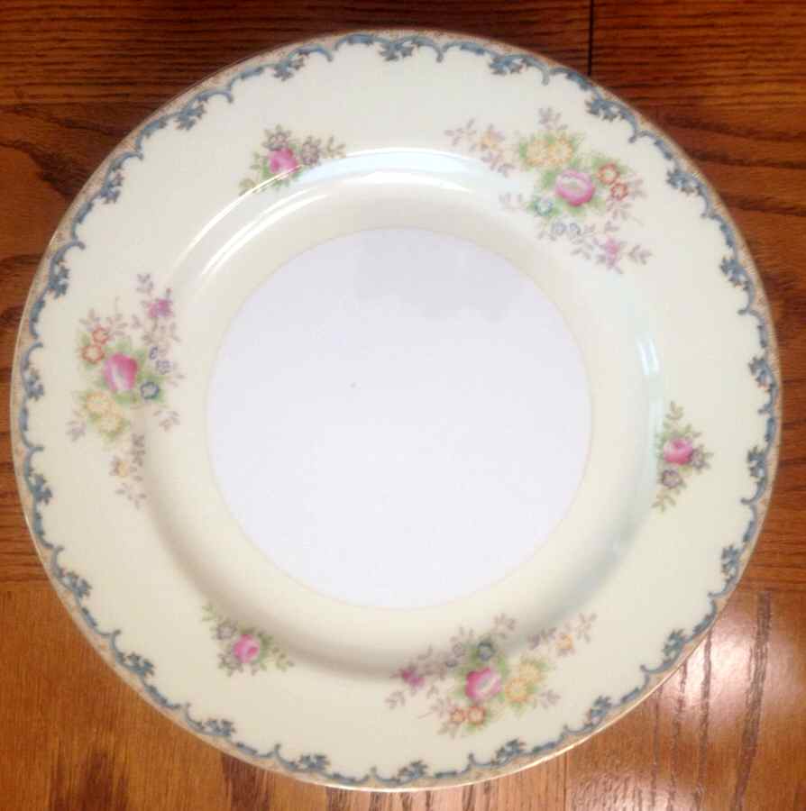 TSW13 Dinner Plate by Transor Ware (Japan)-1