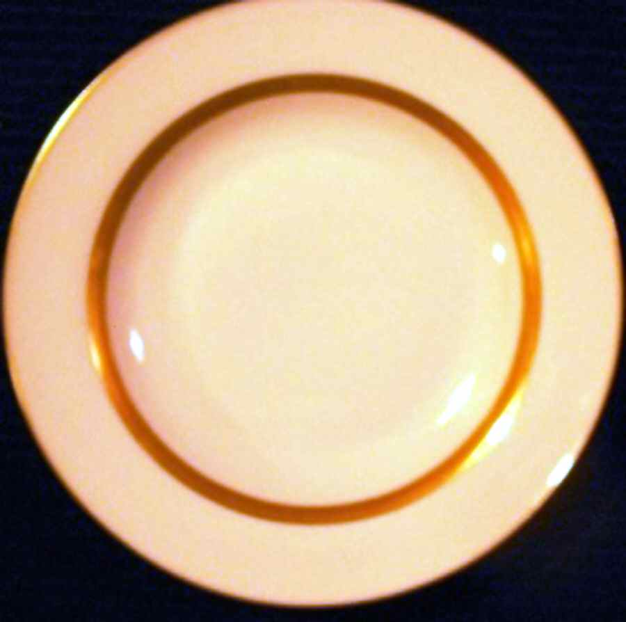 TIR623 Dinner Plate by Tirschenreuth-1