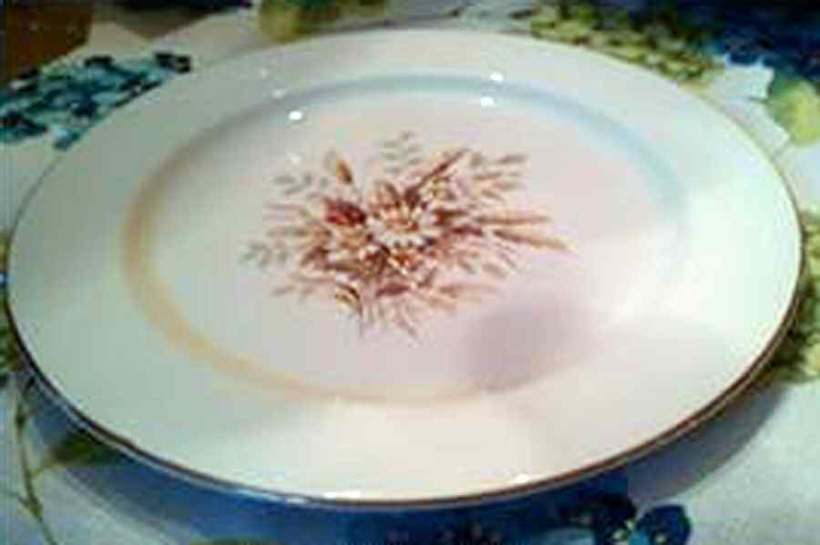TST1023 Dinner Plate by Taylor, Smith & Taylor (Ts&T)-1