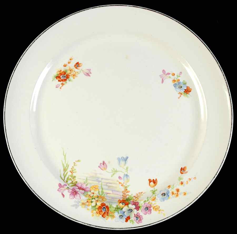 TST1024 Dinner Plate by Taylor, Smith & Taylor (Ts&T)-1