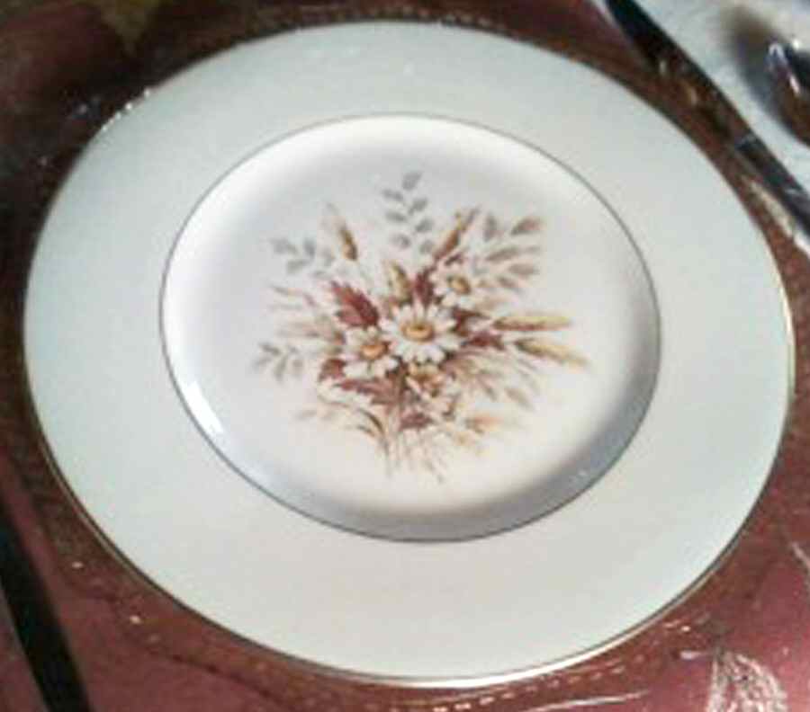 TAT36 Dinner Plate by Tatler of Trenton-1