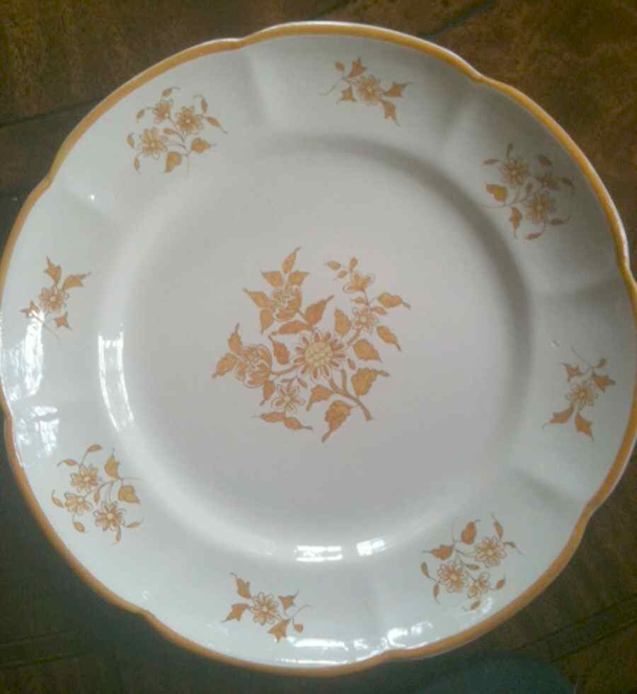 TIC108 Dinner Plate by Tiffany-1