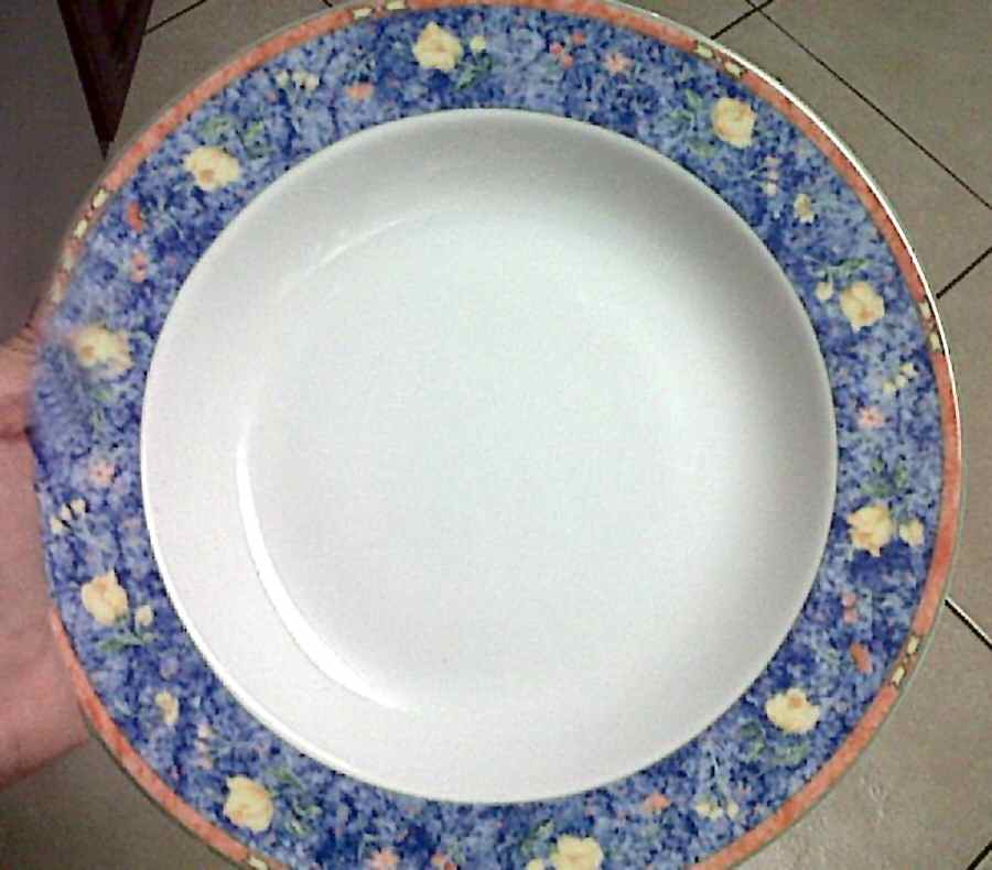 TOG57 Dinner Plate by Tognana-1