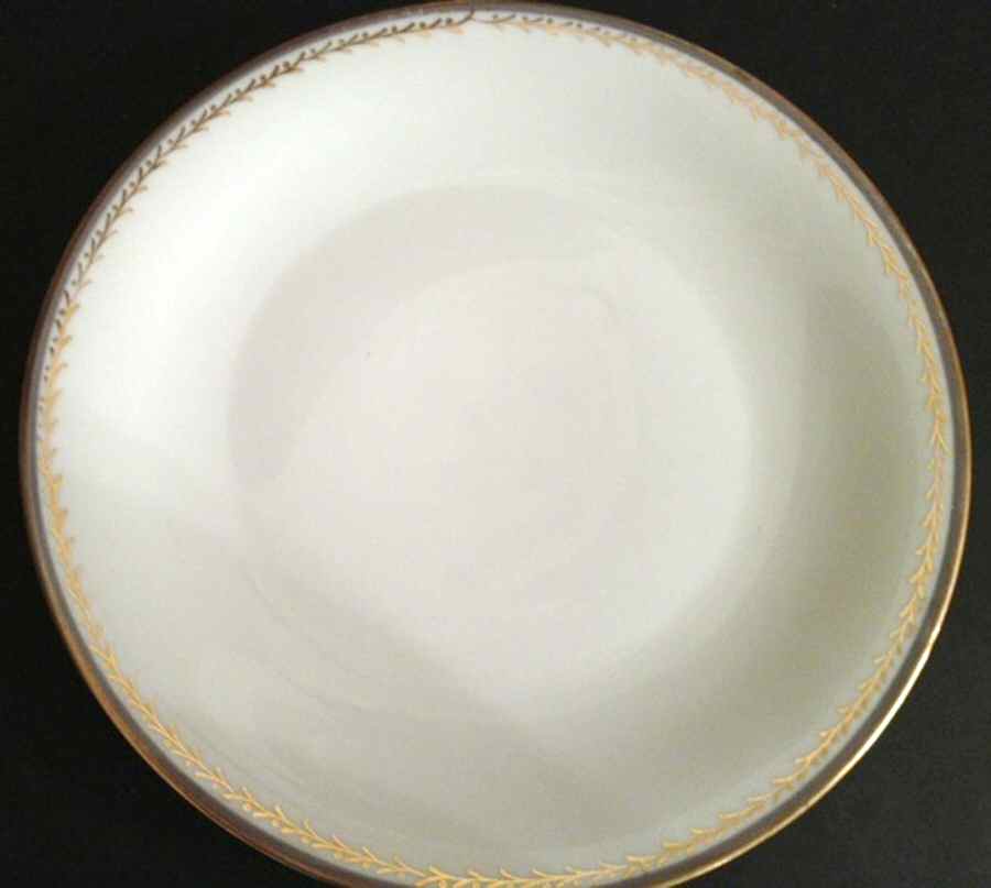 TIR627 Dinner Plate by Tirschenreuth-1