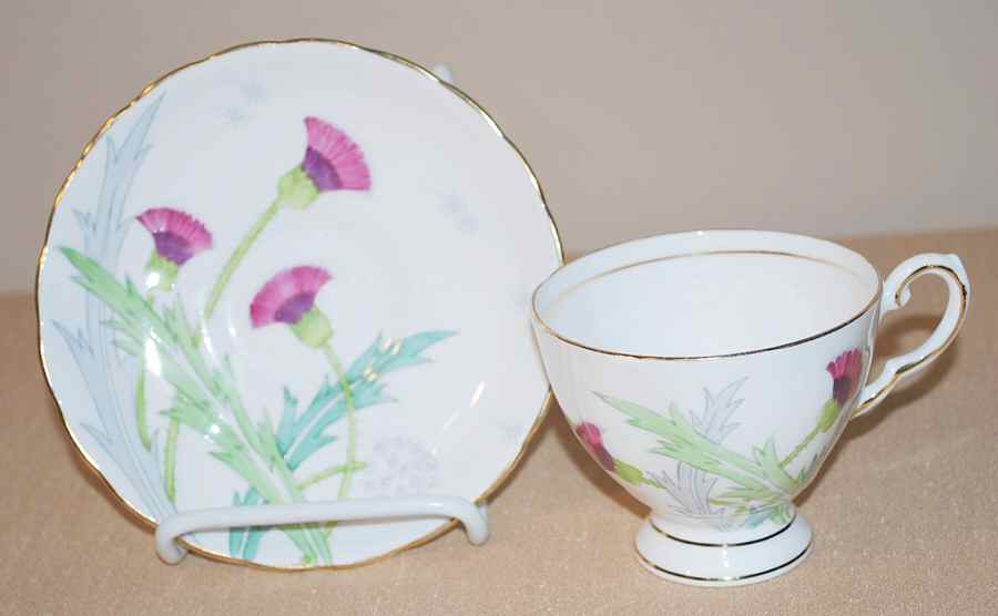D491 Footed Cup & Saucer Set by Tuscan - Royal Tuscan-1