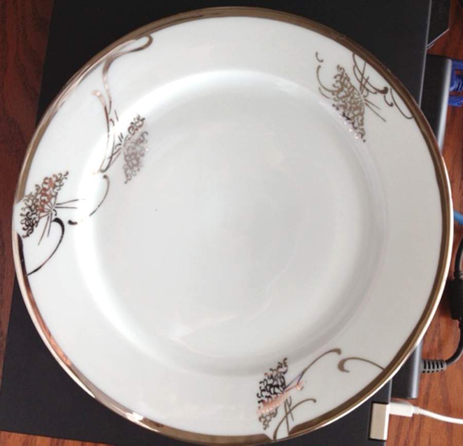 THO538 Dinner Plate by Thomas-1