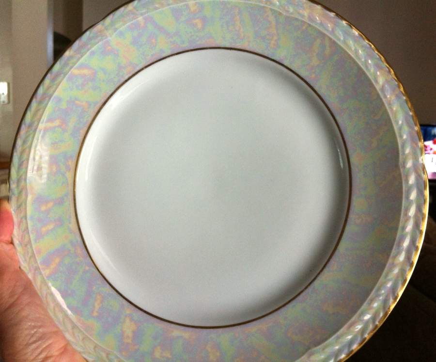 THO543 Dinner Plate by Thomas-1