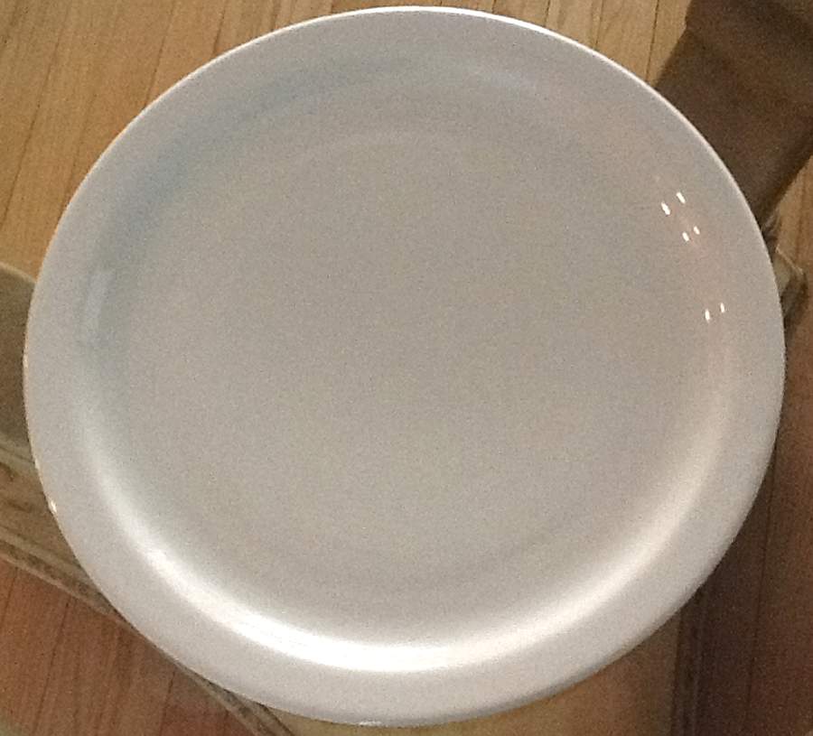 TTO38 Dinner Plate by Totally Today-1