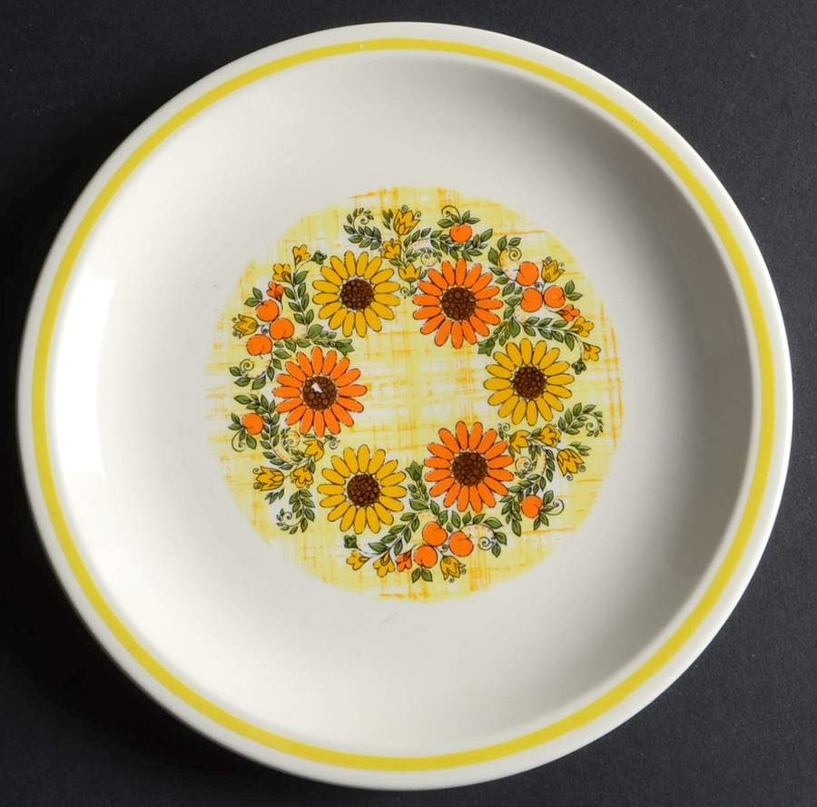 Checks & Daisies Salad Plate by Taylor, Smith & Taylor (Ts&T)-1