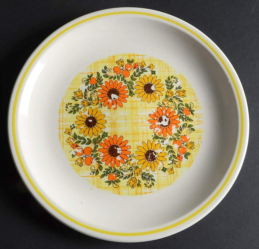 Checks & Daisies Dinner Plate by Taylor, Smith & Taylor (Ts&T)-1