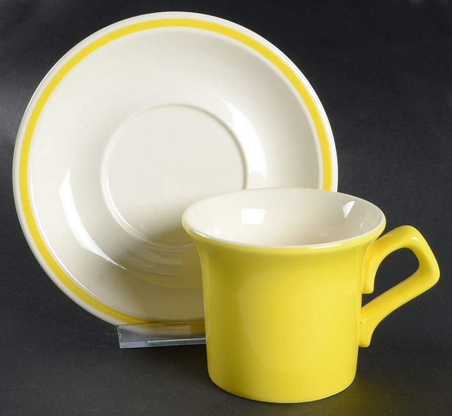 Checks & Daisies Flat Cup & Saucer Set by Taylor, Smith & Taylor (Ts&T)-1