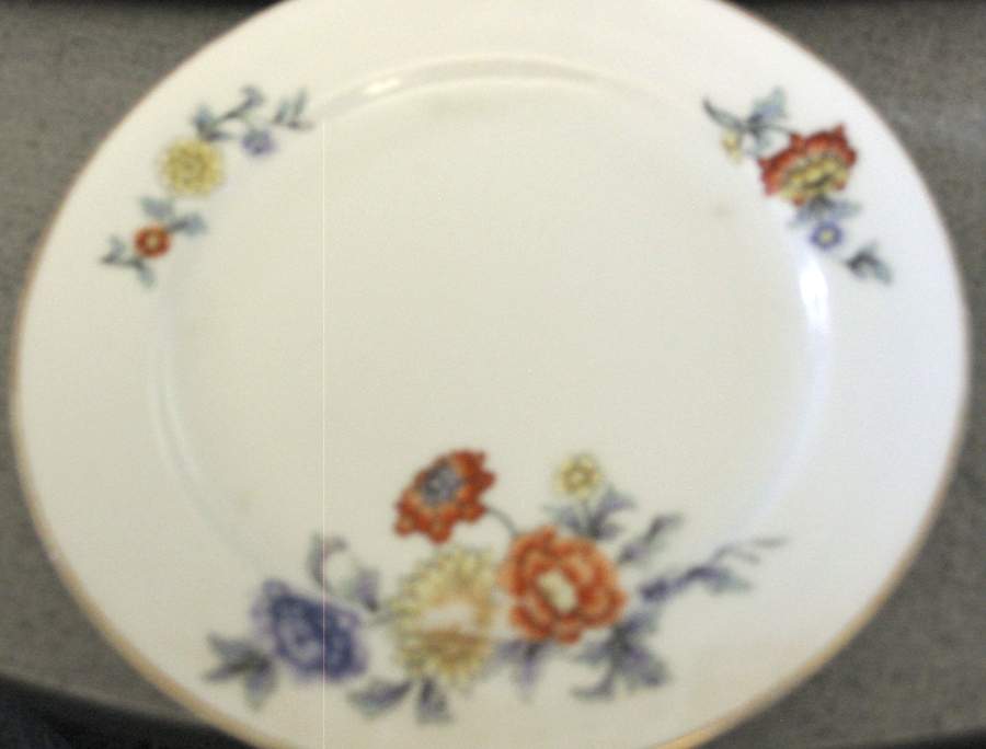 TIR642 Dinner Plate by Tirschenreuth-1