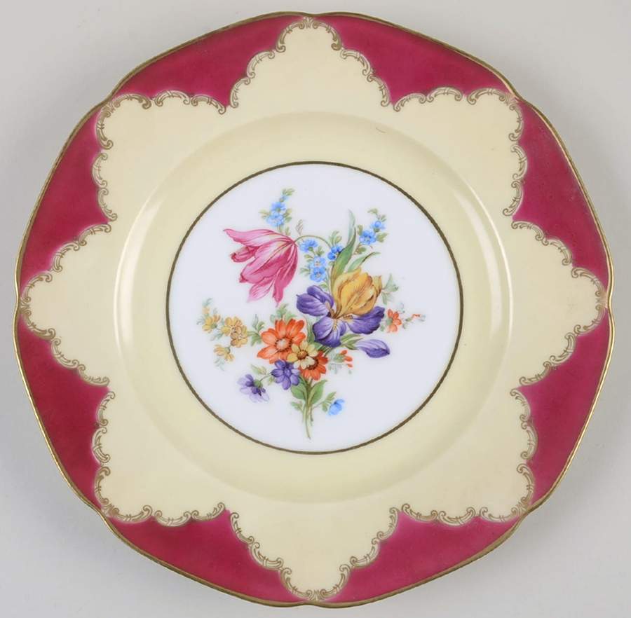 TIR645 Dinner Plate by Tirschenreuth-1