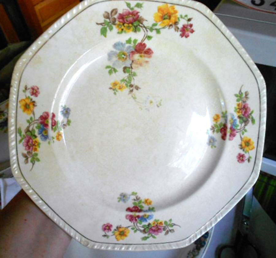 THP100 Dinner Plate by Thompson-1