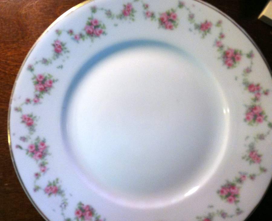 TIR646 Dinner Plate by Tirschenreuth-1