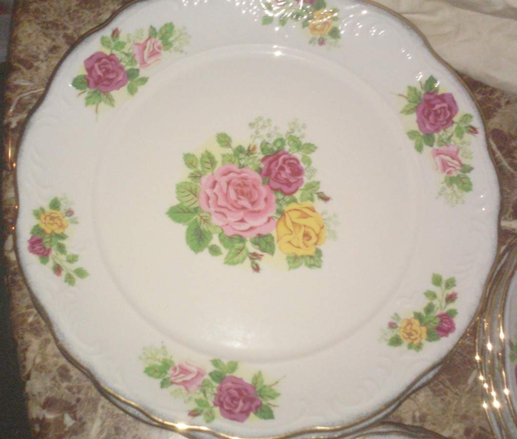 TIE85 Dinner Plate by Tienshan-1