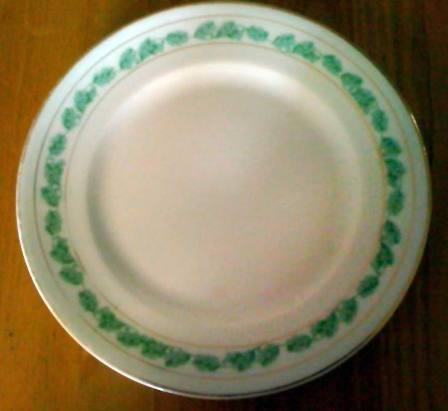 TRV791 Dinner Plate by Tressemanes & Vogt-1