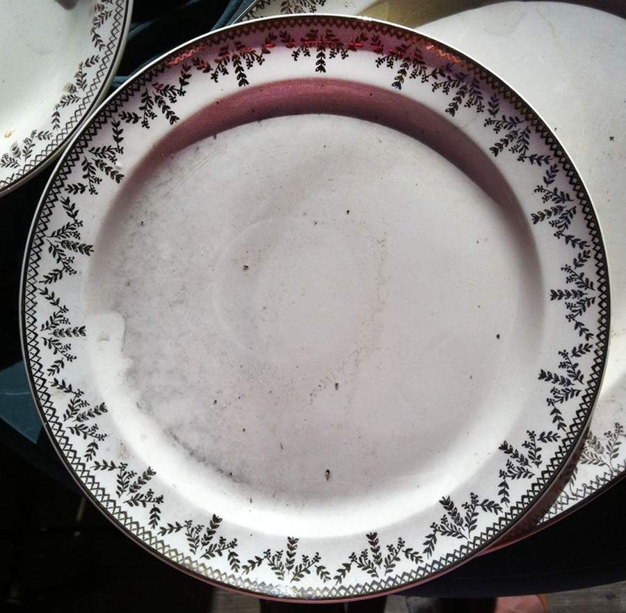 TST778 Dinner Plate by Taylor, Smith & Taylor (Ts&T)-1